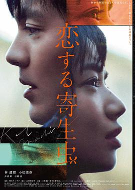 繁花 剧集版
